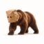 Anonymous Bear icon