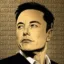 Elon Coin icon