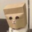 Anonymous Cat icon