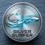 SilverSurfer icon