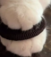 MeowReMeow icon