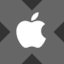 Apple xStock icon