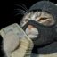 Money Cat icon
