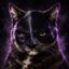 Cat Content icon