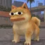 Baby Doge Pepe icon