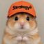 HAMSTR icon