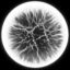 trover icon