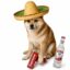 Sombrero Inu icon