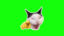 URA Bitch icon