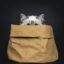 Delivery Cat icon