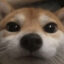 Ramdog icon