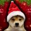 wifmas icon
