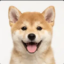 Inufication icon