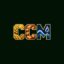 LaunchCCM icon