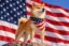Unites States icon