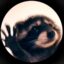 PEDRO PEDRO icon