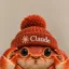 Clawde icon