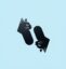 WIRECAT icon