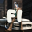 FISTONK icon