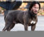 Wick Dog icon