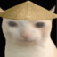 MAO icon