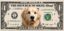 jut buy 1$ icon
