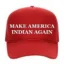 Make America Indian Again icon
