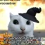 Kentucky Fried Cat icon