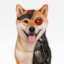 Artificial Inu icon