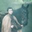 Pod the Squire icon
