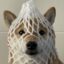 wrapped dog icon
