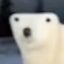 ber icon
