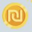 Digital Shekel icon