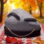 Rocco icon