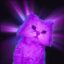 glowcat icon