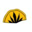 stevecoin icon