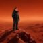 It's lonely at the top icon