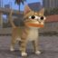 Cate Pepe icon