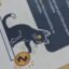 the ZECsy cat icon