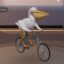 Pelican On Bike icon