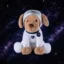 Space Puppy icon