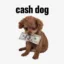 Prince The Cash Dog icon