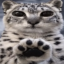 READ TWEET icon