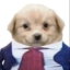 Susanito icon