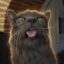 Blu the Blep icon