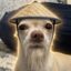 The Wise Dog icon