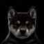 Serious Hood In Black icon