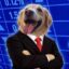 Dog of Stonk icon