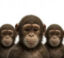 Save The Monkeys icon