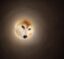 MoonDoge icon